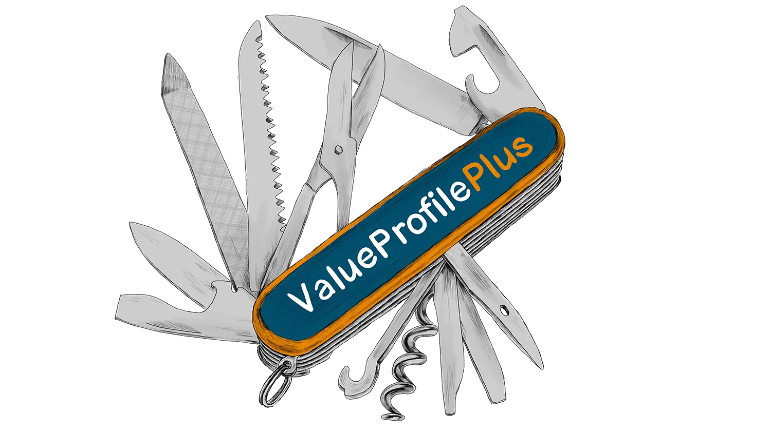 ValueProfilePlus - einzigartiges Online-Assessment